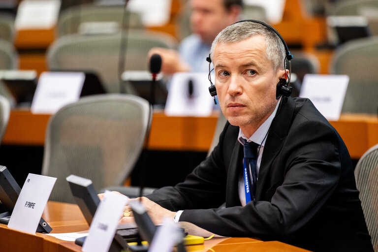FISC - Public hearing on ' The implementation of the 2 Pillar framework in view of international developments and the EU-US relations '