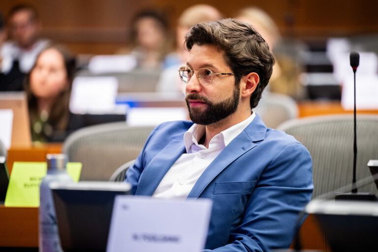 FISC - Public hearing on ' The implementation of the 2 Pillar framework in view of international developments and the EU-US relations '
