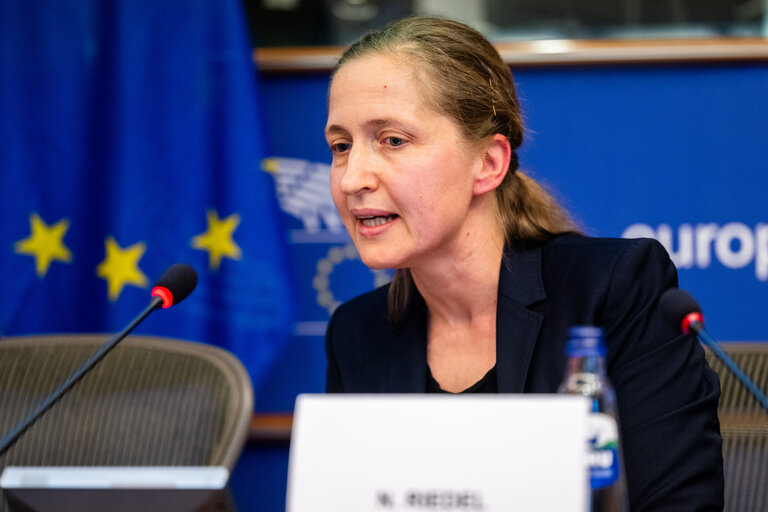 Fotografie 11: FISC - Public hearing on ' The implementation of the 2 Pillar framework in view of international developments and the EU-US relations '