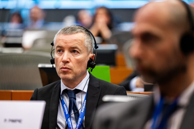 FISC - Public hearing on ' The implementation of the 2 Pillar framework in view of international developments and the EU-US relations '