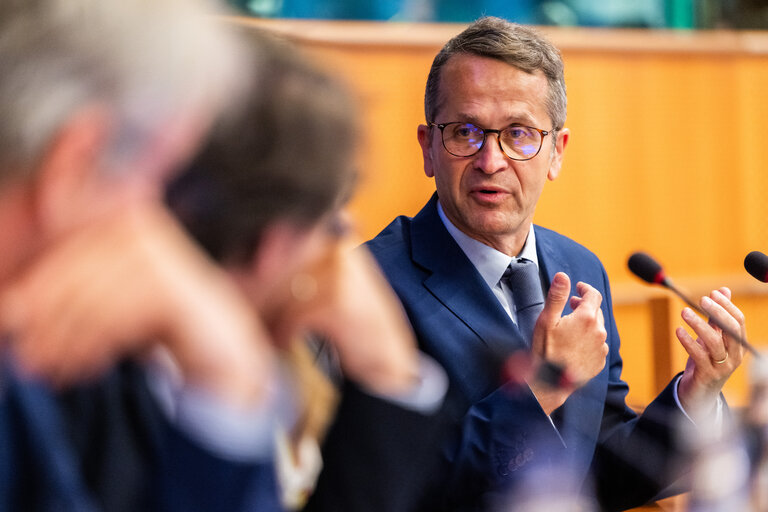 FISC - Public hearing on ' The implementation of the 2 Pillar framework in view of international developments and the EU-US relations '