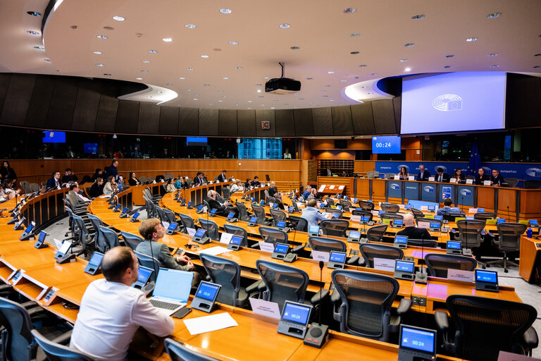 FISC - Public hearing on ' The implementation of the 2 Pillar framework in view of international developments and the EU-US relations '