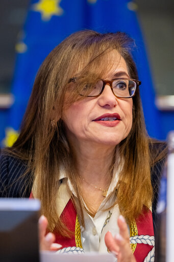 Fotografie 15: FISC - Public hearing on ' The implementation of the 2 Pillar framework in view of international developments and the EU-US relations '