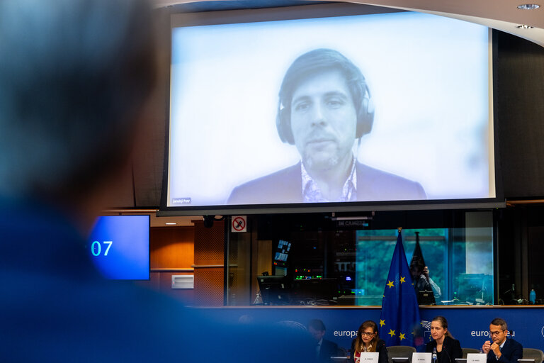 Fotografie 14: FISC - Public hearing on ' The implementation of the 2 Pillar framework in view of international developments and the EU-US relations '