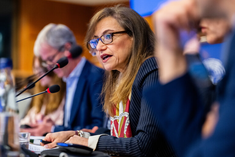 Fotografie 16: FISC - Public hearing on ' The implementation of the 2 Pillar framework in view of international developments and the EU-US relations '