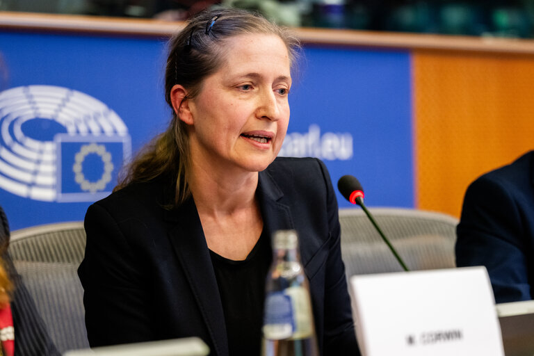 Fotografie 12: FISC - Public hearing on ' The implementation of the 2 Pillar framework in view of international developments and the EU-US relations '