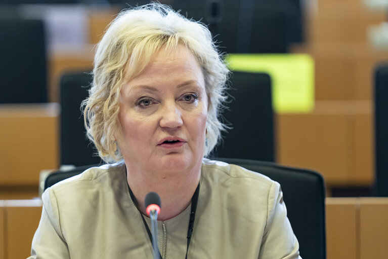 AGRI - Workshop on ' The future of agriculture and the post-2027 common agricultural policy '', organised by the Policy Department