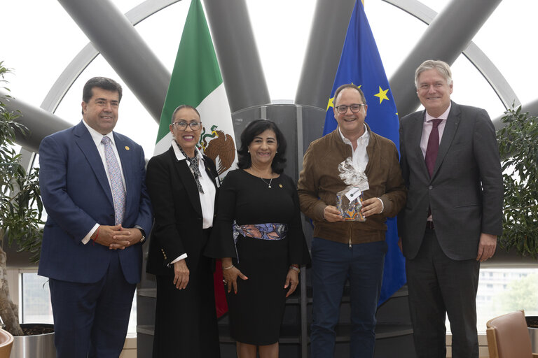 31st EU-Mexico Joint Parliamentary Committee meeting