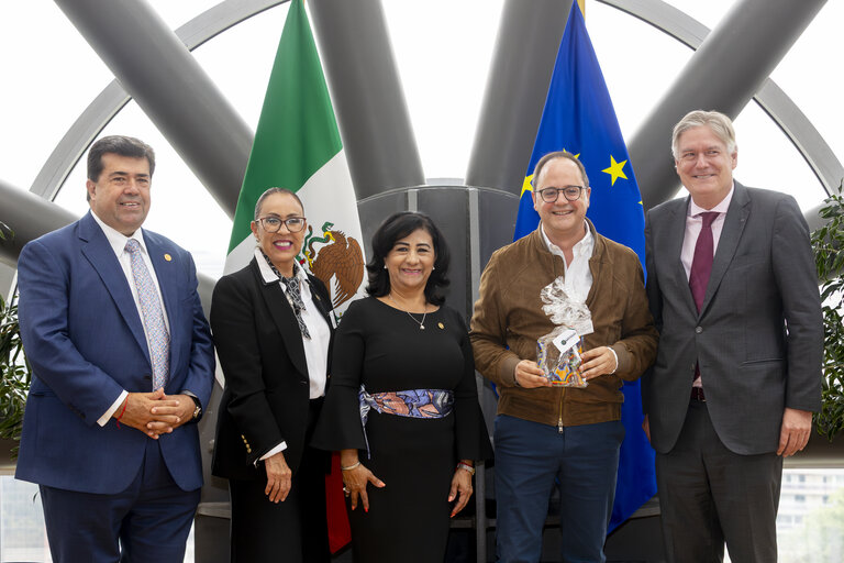 31st EU-Mexico Joint Parliamentary Committee meeting