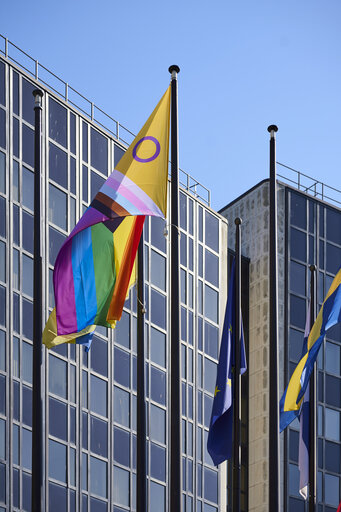Billede 14: International Day Against Homophobia, Biphobia and Transphobia (IDAHOBIT) 2025 - Rainbow flag next to the EP buildings in Brussels and Strasbourg