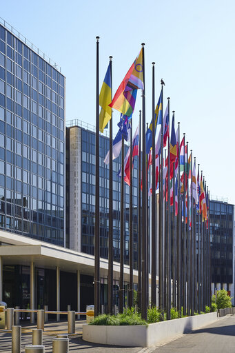 Billede 13: International Day Against Homophobia, Biphobia and Transphobia (IDAHOBIT) 2025 - Rainbow flag next to the EP buildings in Brussels and Strasbourg