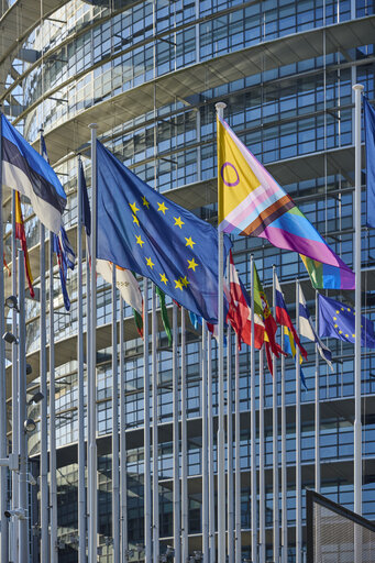 Billede 19: International Day Against Homophobia, Biphobia and Transphobia (IDAHOBIT) 2025 - Rainbow flag next to the EP buildings in Brussels and Strasbourg