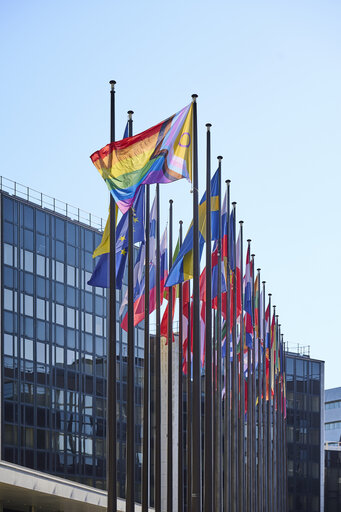 Billede 11: International Day Against Homophobia, Biphobia and Transphobia (IDAHOBIT) 2025 - Rainbow flag next to the EP buildings in Brussels and Strasbourg