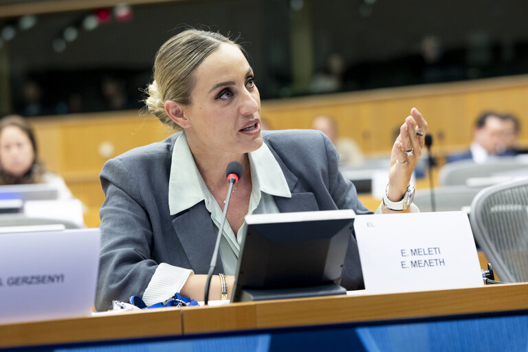 FEMM - Advancing towards a care society: addressing the gender care gap