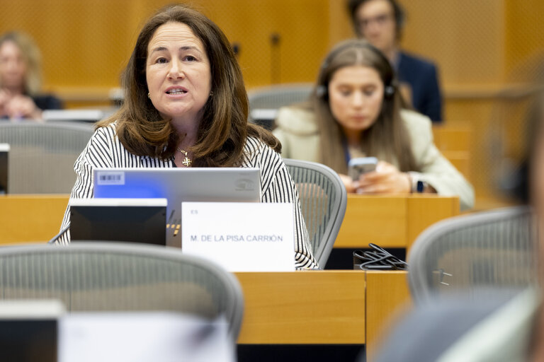 FEMM - Advancing towards a care society: addressing the gender care gap