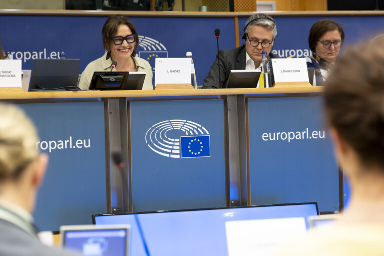 Φωτογραφία 12: FEMM - Advancing towards a care society: addressing the gender care gap