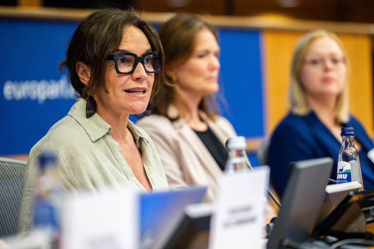 Foto 41: FEMM - The Wave of consent - Based rape laws in Europe