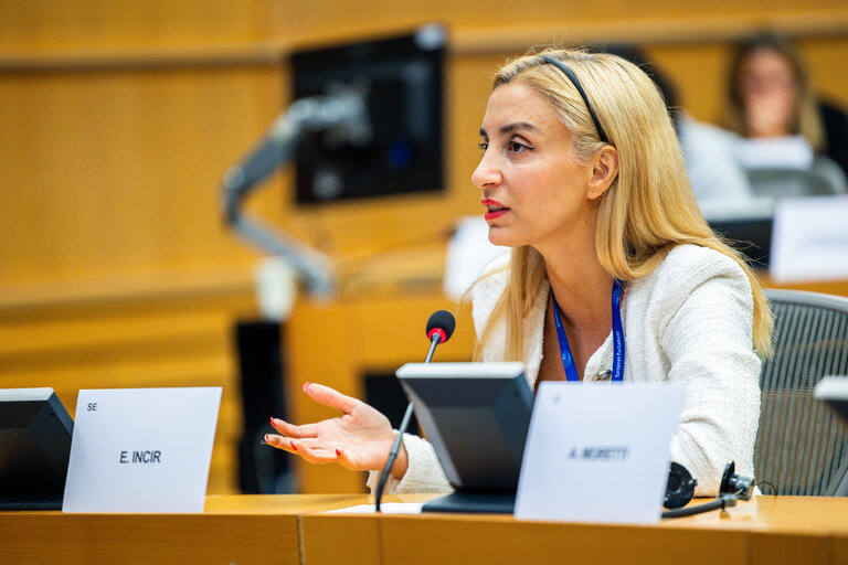 FEMM - The Wave of consent - Based rape laws in Europe
