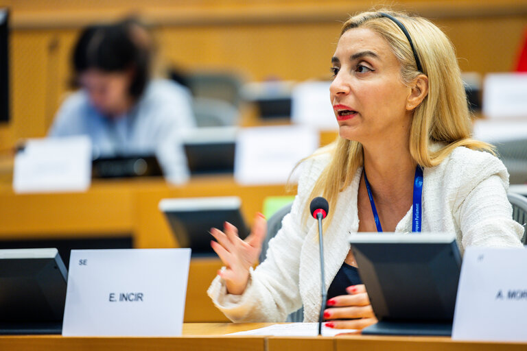 FEMM - The Wave of consent - Based rape laws in Europe