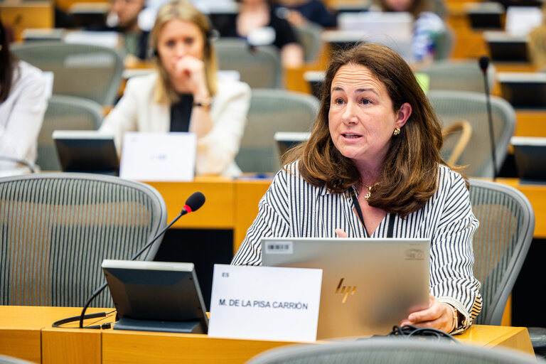 FEMM - The Wave of consent - Based rape laws in Europe