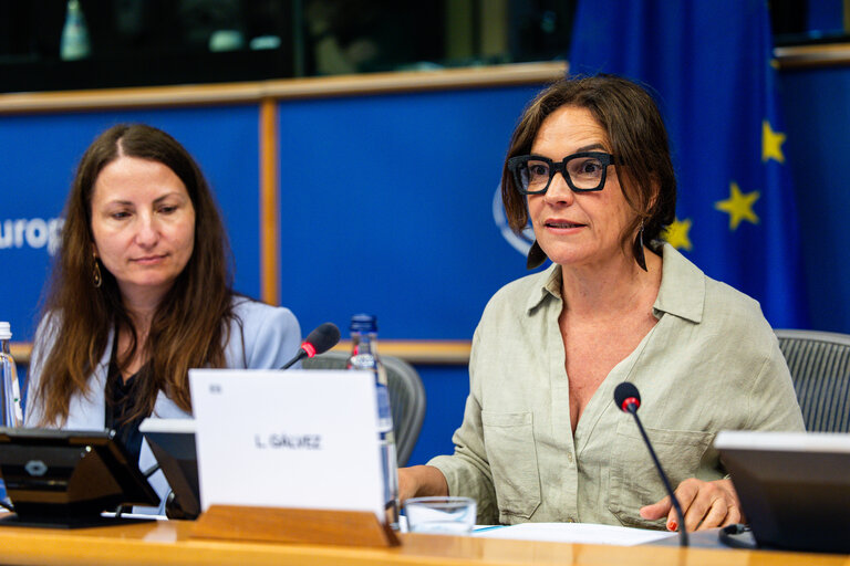 Foto 45: FEMM - The Wave of consent - Based rape laws in Europe