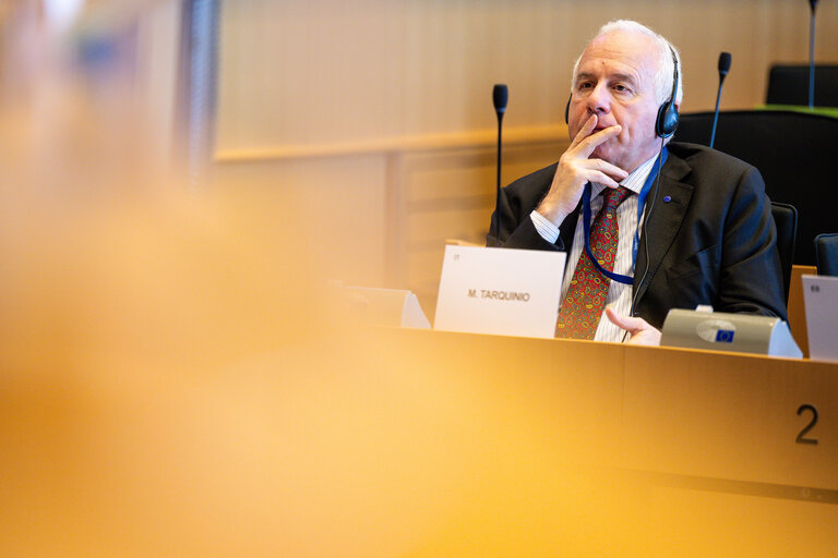 DEVE Interparliamentary Committee Meeting ' Global Gateway and the 4th Conference on Financing Development : Advancing Poverty Eradication and Energy Access in Developing Countries '