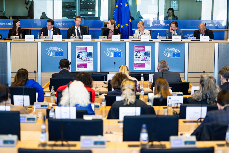 DEVE Interparliamentary Committee Meeting ' Global Gateway and the 4th Conference on Financing Development : Advancing Poverty Eradication and Energy Access in Developing Countries '