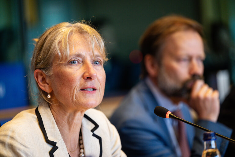 Valokuva 12: DEVE Interparliamentary Committee Meeting ' Global Gateway and the 4th Conference on Financing Development : Advancing Poverty Eradication and Energy Access in Developing Countries '