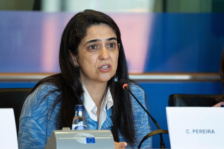 Foto 4: FEMM Committee - Istanbul Convention - presentation by GREVIO (Group of Experts on Action against Violence against Women and Domestic Violence)