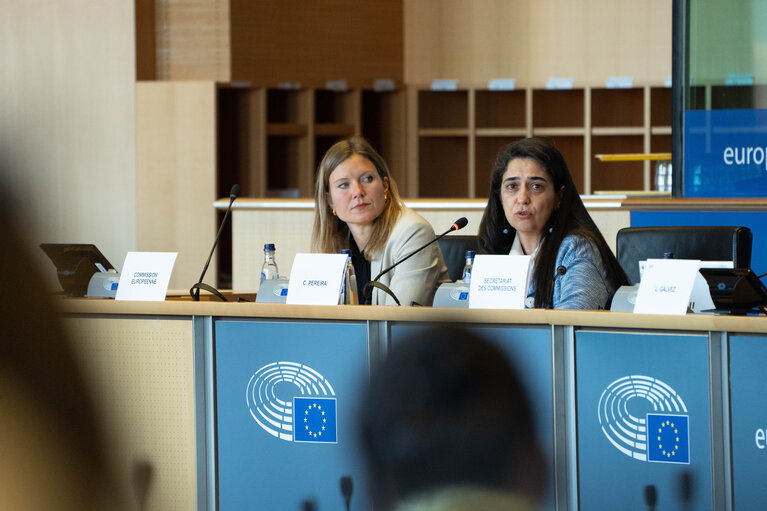 Foto 2: FEMM Committee - Istanbul Convention - presentation by GREVIO (Group of Experts on Action against Violence against Women and Domestic Violence)