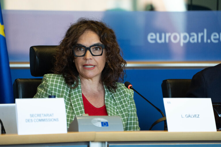 Foto 16: FEMM Committee - Istanbul Convention - presentation by GREVIO (Group of Experts on Action against Violence against Women and Domestic Violence)