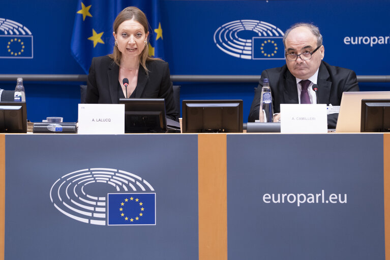 Zdjęcie 22: ECON - Exchange of views with Alfred Camilleri, Chair of the European Statistical Governance Advisory Board