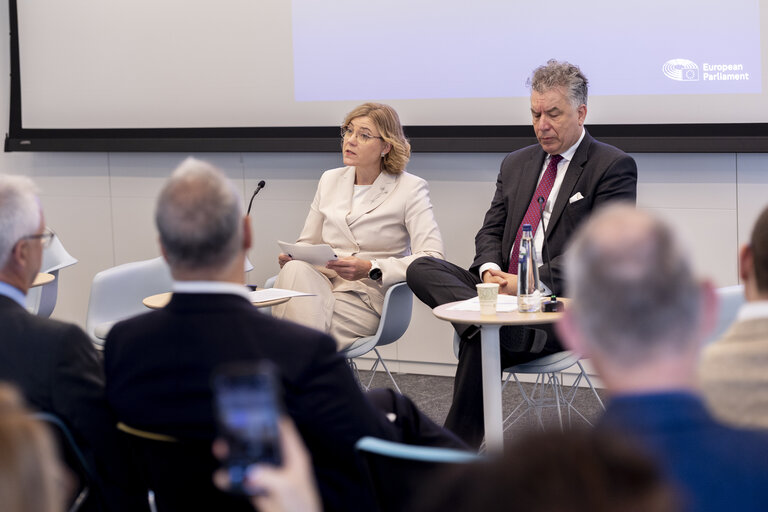 Fotografie 11: STOA - European Quantum Strategy and Quantum Act