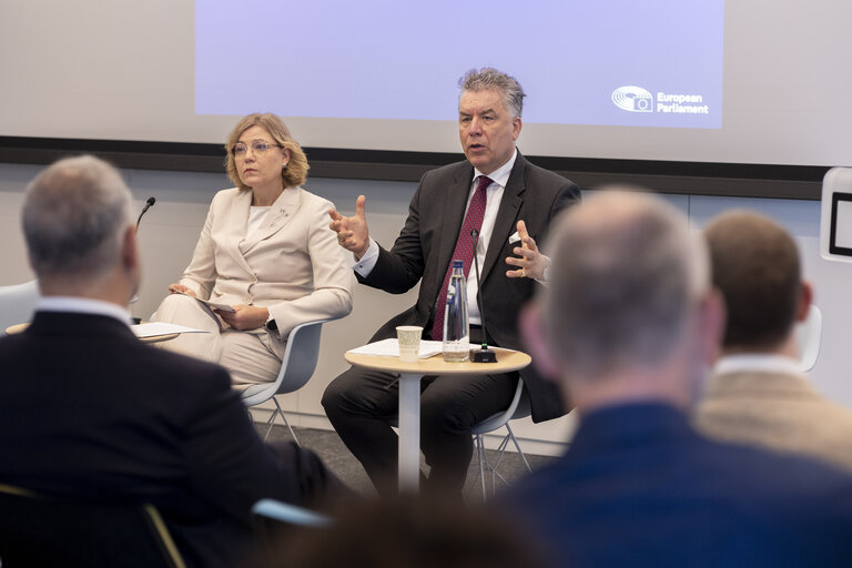 Fotografie 14: STOA - European Quantum Strategy and Quantum Act