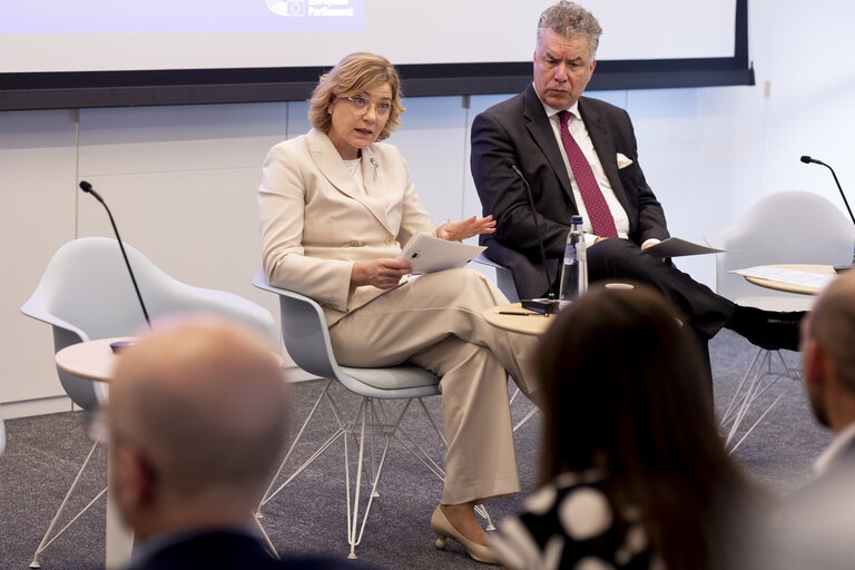 Fotografie 6: STOA - European Quantum Strategy and Quantum Act