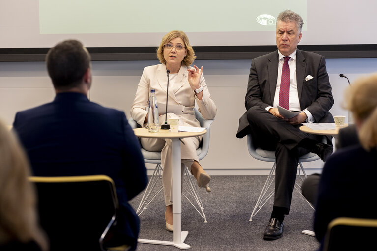 Fotografie 8: STOA - European Quantum Strategy and Quantum Act