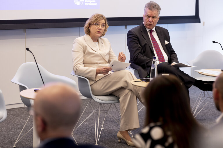 Fotografie 7: STOA - European Quantum Strategy and Quantum Act