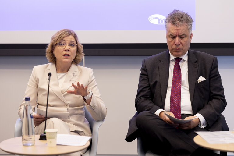 Fotografie 10: STOA - European Quantum Strategy and Quantum Act