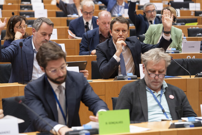 BUDG ECON - Implementation report on the Recovery and Resilience Facility  - Adoption of draft report