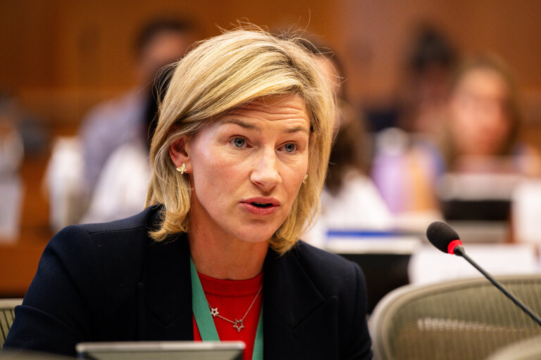 Photo 9: AFET INTA - EU-UK Summit debriefing