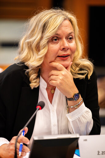 AFET INTA - EU-UK Summit debriefing
