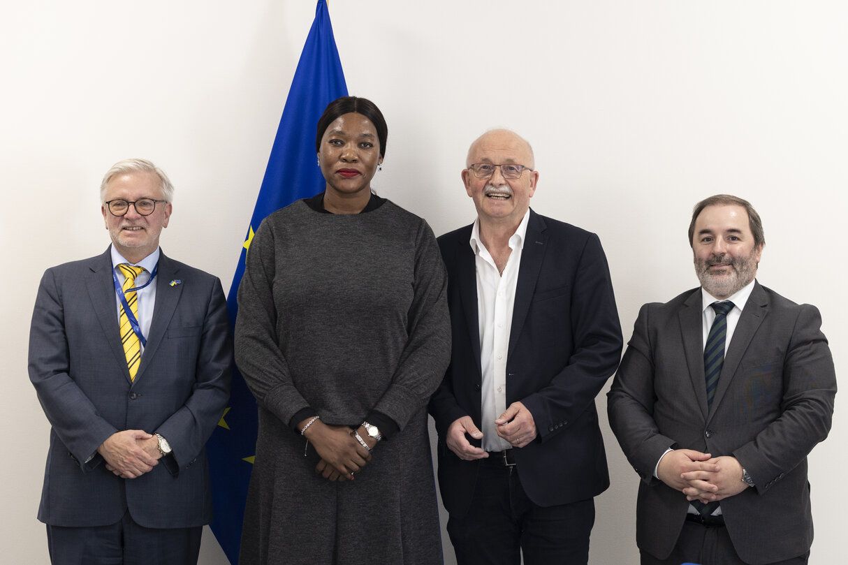 D-ZA Delegation meets with Anna Tandi Moraka, South African Deputy Minister for International Relations and Cooperation