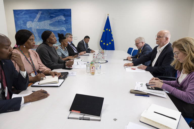Foto 5: D-ZA Delegation meets with Anna Tandi Moraka, South African Deputy Minister for International Relations and Cooperation