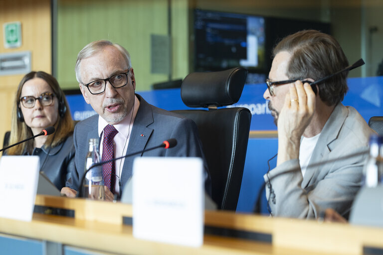 Foto 13: CULT - Public hearing on ' Empowering creators in the age of AI '