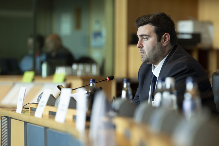 Foto 24: CULT - Public hearing on ' Empowering creators in the age of AI '