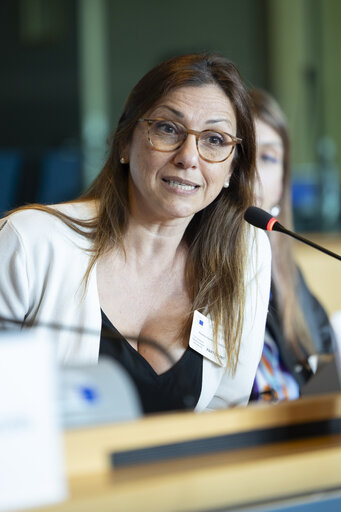 Foto 11: CULT - Public hearing on ' Empowering creators in the age of AI '