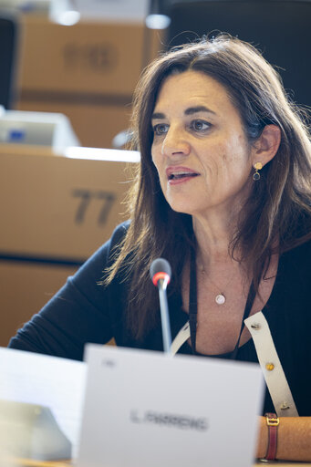 Foto 4: CULT - Public hearing on ' Empowering creators in the age of AI '
