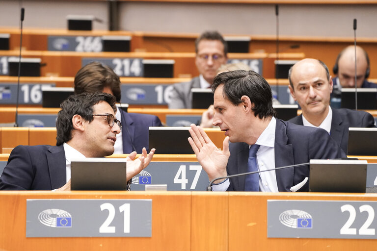 EP Mini-Plenary Session - Single Market Strategy
