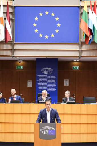 Foto 9: EP Mini-Plenary Session - Single Market Strategy