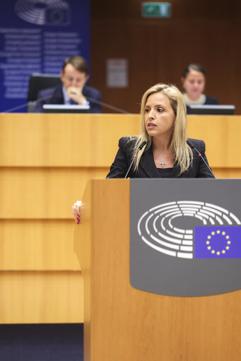 EP Mini-Plenary Session - Amending the EU Regulation 2023/965 as regards simplifying and strengthening the Carbon Border Adjustment Mechanism